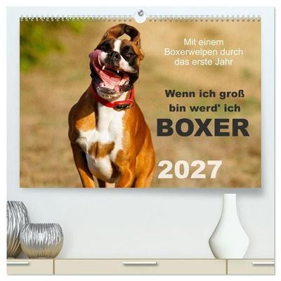 Wenn ich groß bin werd' ich Boxer (hochwertiger Premium Wandkalender 2027 DIN A2 quer), Kunstdruck in Hochglanz