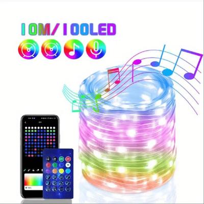 Inspired Finds WS2812B RGB Bluetooth LED Strip Lights Smart Dreamcolor Fairy Lights 32.8ft Led Light String