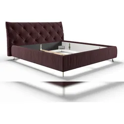 KAWOLA Bett ANNY Polsterbett Kopfteil niedrig Velvet purple 160x200cm