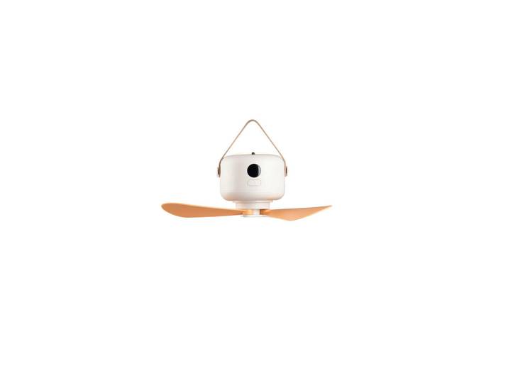 Deckenventilator Rena, Kunststoff, 9 cm, Fernbedienung, getrennt schaltbar, Elektrogeräte, Kühlgeräte, Ventilatoren, Deckenventilatoren