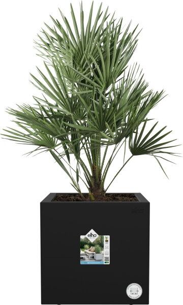 Elho Vivo Next Blomsterkrukke, 30x30cm, Black