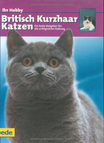 Dominik Kieselbach - British Kurzhaar Katzen, Ihr Hobby: Ein bede-Ratgeber für die erfolgreiche Haltung - Preis vom 07.10.2026 11:45:10 h