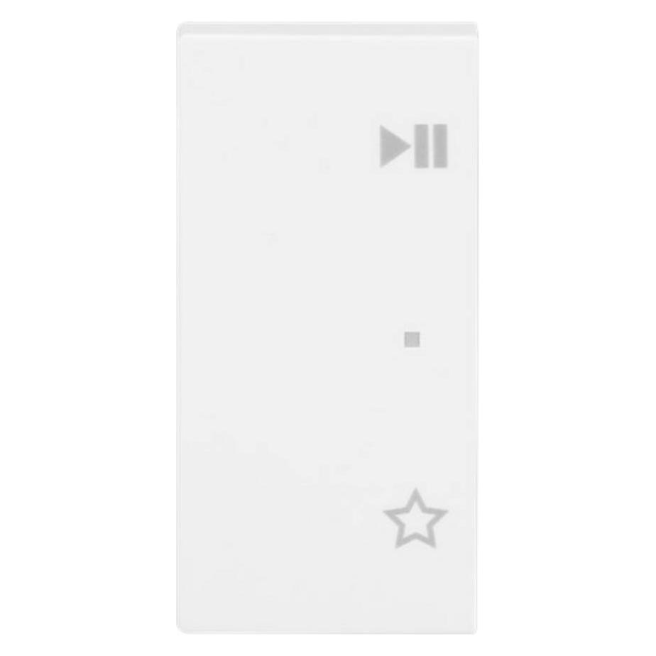Busch-Jaeger 6237-21-914 Wippe/L 2-fach,Play/Pause 2CKA006220A0753 (2CKA006220A0753)