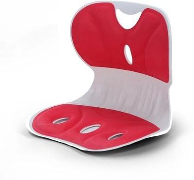 Inspire Essentials Ergonomic Lumbar Support Pillow Back Cushion 5
