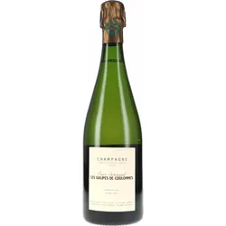 Jean Servagnat Les Galipes de Coulommes Premier Cru Extra Brut 2022