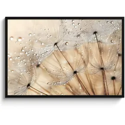 POSTER MIT RAHMEN Löwenzahn - Abstrakt - Natur - Beige 120x80 cm