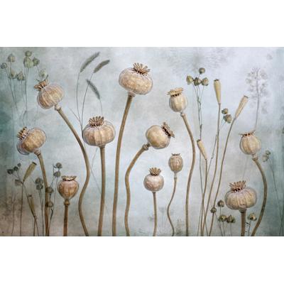 Fototapete PAPERMOON "Photo-Art MANDY DISHER, MOHN", bunt, B:3,5m L:2,6m, Vlies, Tapeten