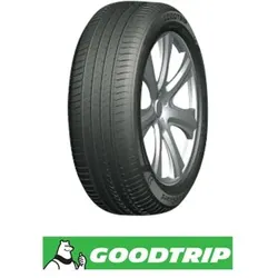 Goodtrip BlueGuard 205/55 R16 91V