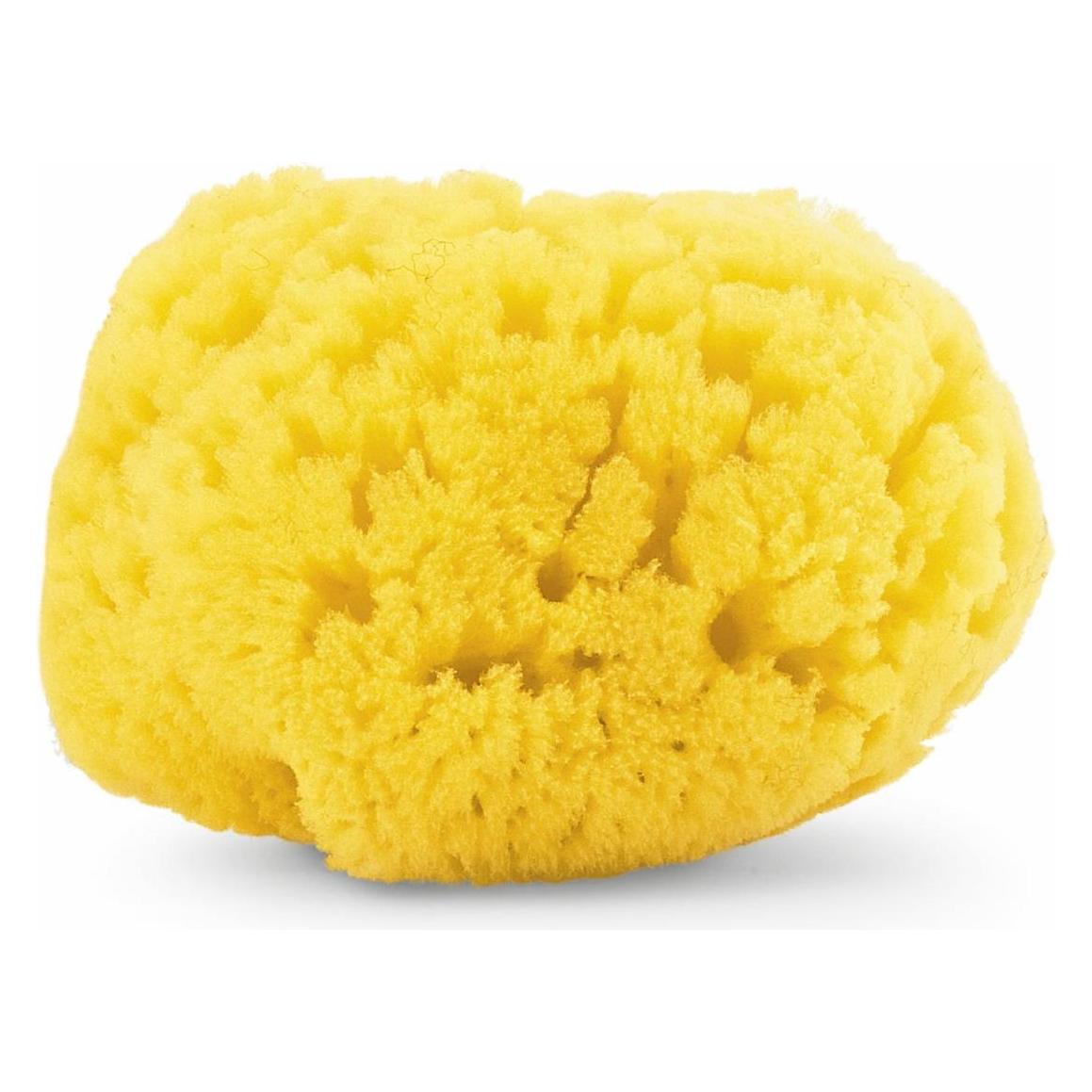 Chicco Waschschwamm (00062179500000)