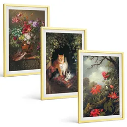 BILDER SET 3er Set - 40x60 cm Goldrahmen - Vintage-Blumen, Katzen, Natur