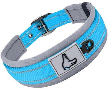 Uplift Treasures Reflective Padded Adjustable Dog Collar blue l