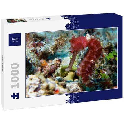Lais Puzzle Seepferdchen 1000 Teile