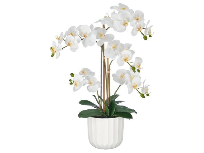 Kunstpflanze Orchidee im Weissen Topf H: 70 cm Gasper