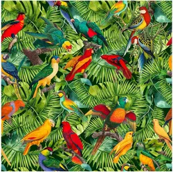 FOTOTAPETE Bunte Collage - Papageien im Dschungel 192/192 cm