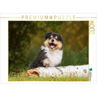 CALVENDO Puzzle Kleiner Weltentdecker - ein Colliewelpe | 2000 Teile Lege-Größe 90x67cm Foto-Puzzle für glückliche Stunden