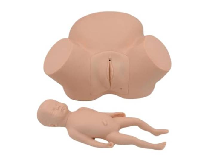 Display Modell Hebammen-Demonstrations-Trainingsmodell, Anatomie, Geburtssimulator, Puppe, Hebammen-Training, Weiblich, Schwanger Menschliches