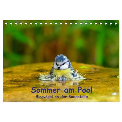 Sommer am Pool - Singvögel an der Badestelle (Tischkalender 2026 DIN A5 quer), CALVENDO Monatskalender