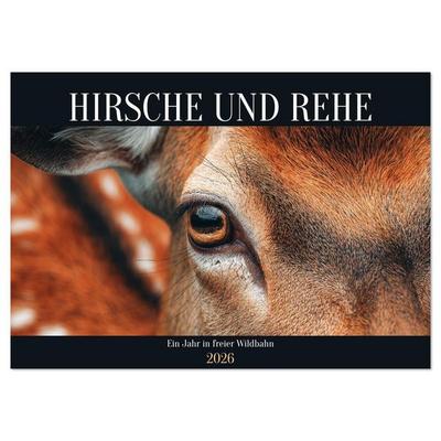 HIRSCHE UND REHE - Ein Jahr in freier Wildbahn (Wandkalender 2026 DIN A4 quer), CALVENDO Monatskalender