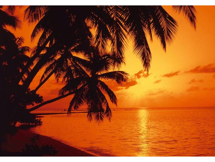 Fototapete PAPERMOON Tropic Sunset , bunt, B:5m L:2,8m, Vlies, Tapeten, Fototapete