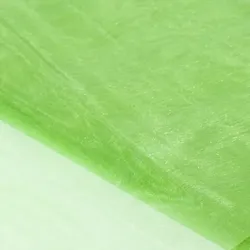 Organza "Delhi", hellgrün