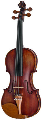 Roth & Junius Europe Orchestra Violin Gu/Bw