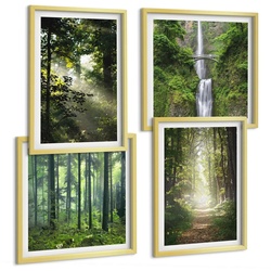 BILDER SET 4er Set - 50x50 cm & 40x60 cm Goldrahmen - Grüne Wälder, Lichtstrahlen
