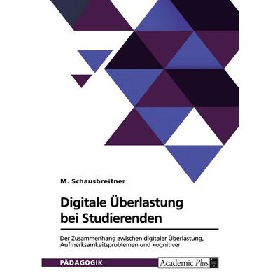 Digitale Überlastung bei Studierenden, Taschenbuch von M. Schausbreitner, GRIN, 978-3-389-20363-7