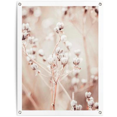 Poster REINDERS "Getrockneter Zweig", beige (farbe bild(er): beige), B:60cm H:80cm T:0,1cm, Leinwand, Bilder, Poster