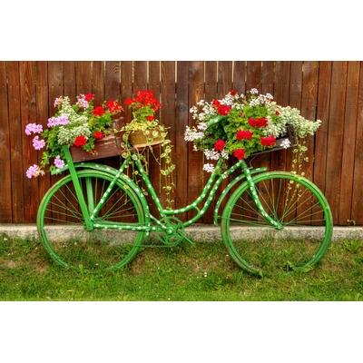 Fototapete PAPERMOON "Vintage Fahrrad", bunt, B:5m L:2,8m, Vlies, Tapeten