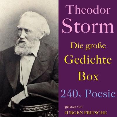 Theodor Storm: Die große Gedichte Box - Theodor Storm, Audio, 4064067309533