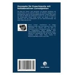Konzepte für Experimente mit kollaborativen Lernobjekten, Ratgeber von Pmela Campos, Rafael H Petruy