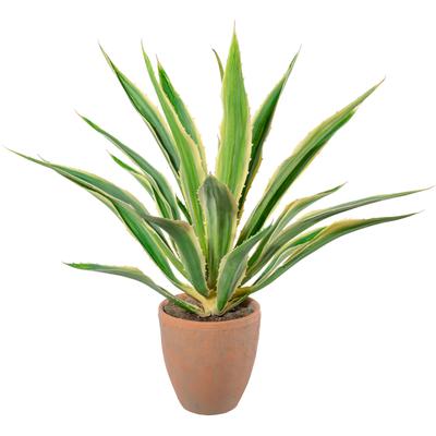 Künstliche Zimmerpflanze CREATIV GREEN "Agave im Terracottatopf", grün, H:85cm, Obermaterial: 100% Polyethylen, Kunstpflanzen, Künstliche Zimmerpflanze