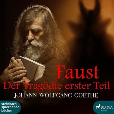 Faust - Der Tragödie erster Teil - Johann Wolfgang von Goethe, Audio, 9788726397499