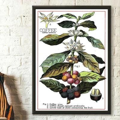 Uplifted Finds Botanical Green Houseplant Canvas Art   Calming Nature Indoors Interior Print 21 20 X 30 Cm