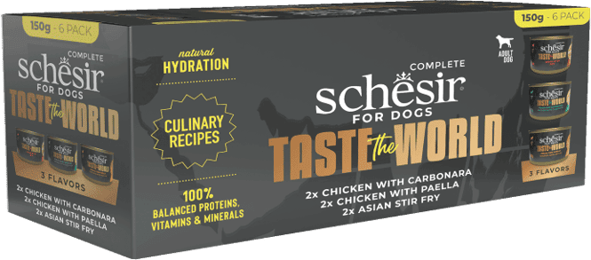 Schesir Dog Taste The World Variety Pack Latas em Caldo 6 uds x 150g