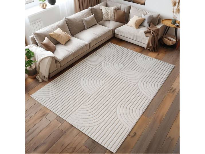 Homebyhome Tapis 120x170 cm Crème Design Bohème pour Salon Chambre Salle à Manger Chambre Enfant
