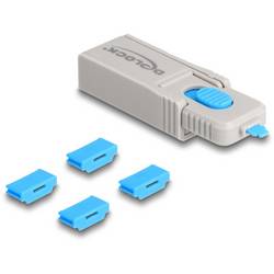 Delock HDMI Port Schloss 20924 Blau, Grau 20924