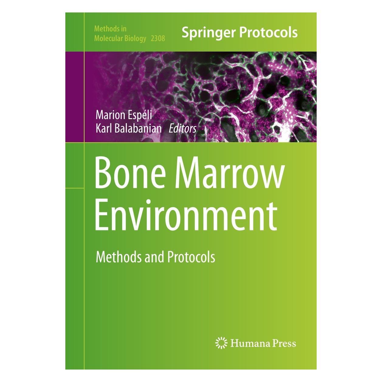 Springer Bone Marrow Environment (Englisch, Hardcover, Karl Balabanian, Marion Espéli) (9781071614242)