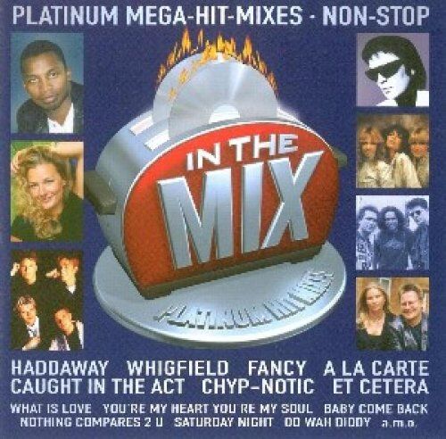 Various - In the Mix-Platinum Hit Mixe - Preis vom 13.10.2026 11:25:28 h