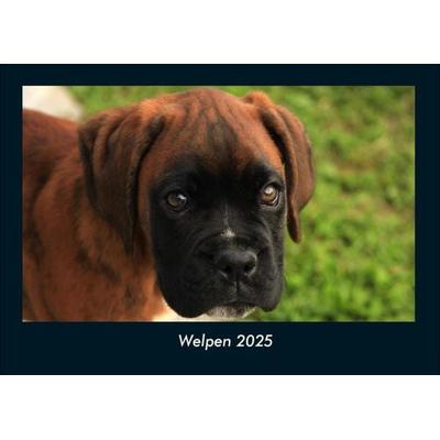 Welpen 2025 Fotokalender DIN A4
