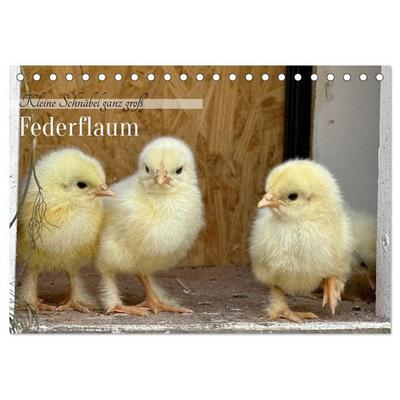 Federflaum - Kleine Schnäbel ganz groß (Tischkalender 2027 DIN A5 quer), CALVENDO Monatskalender