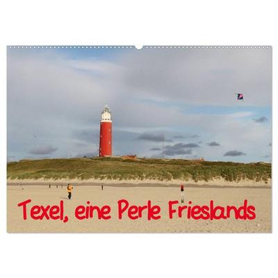 Texel, eine Perle Hollands (Wandkalender 2026 DIN A2 quer), CALVENDO Monatskalender
