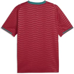 Puma, Herren, Fussballtrikot, FPF Home Jersey Replica (XS), Rot, Grün