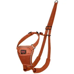 Halti No Pull Harness Burnt Orange Medium (Hund, Allgemein, Spazieren), Halsband + Leine