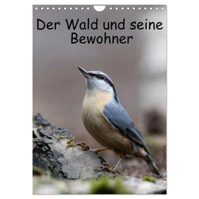 Der Wald und seine Bewohner (Wandkalender 2027 DIN A4 hoch), CALVENDO Monatskalender