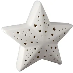 Dekostern Lichterglanz LED weiß 13cm