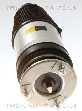 Triscan Luftfeder, Fahrwerk 8720 81102 Für Tesla
