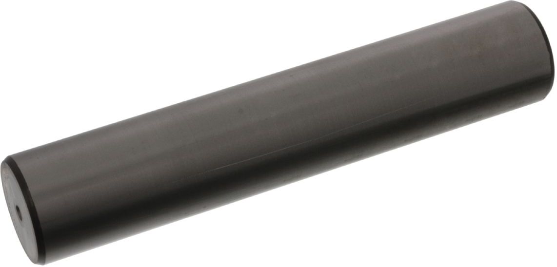 Febi Bilstein Perno fuso a snodo 19164