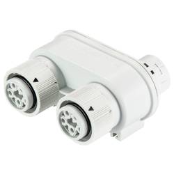 Wieland Electric 46.050.1253.0 Verteiler