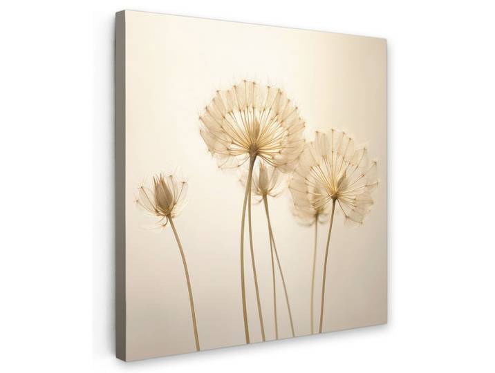 LEINWANDBILD Sonnenlicht - Löwenzahn - Botanisch - Blumen Deko Groß 90x90 cm